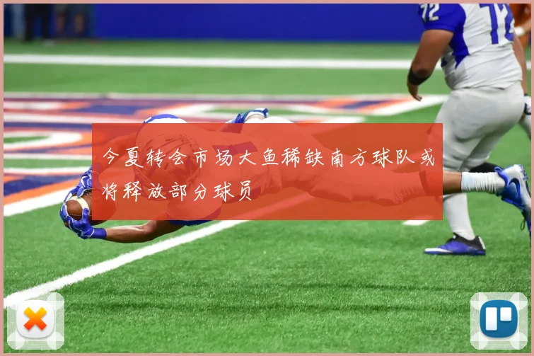 今夏转会市场大鱼稀缺南方球队或将释放部分球员