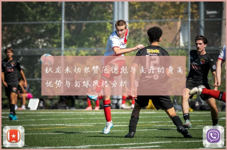 狄龙米切尔赞范德彪与麦丹的身高优势与打球风格分析
