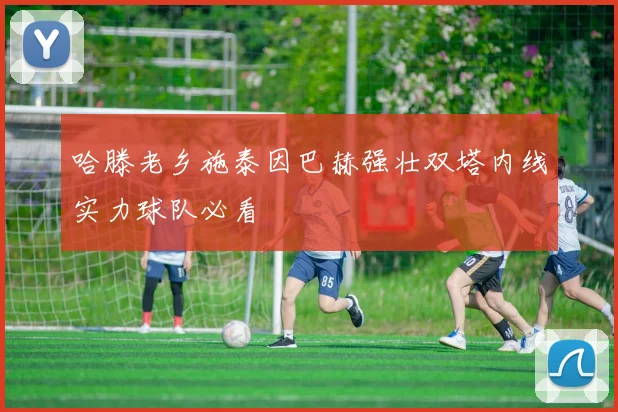 哈滕老乡施泰因巴赫强壮双塔内线实力球队必看